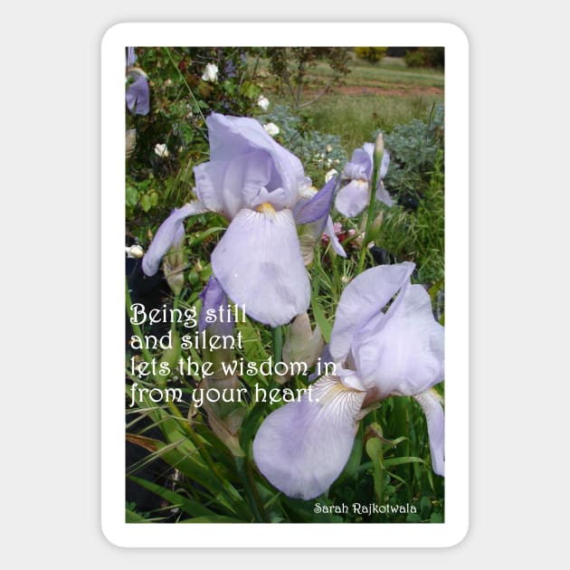 Lavender Iris Flowers in the Garden, Being Still and Silent Lets in the Wisdom - Inspirational Quotes Sticker by SarahRajkotwala